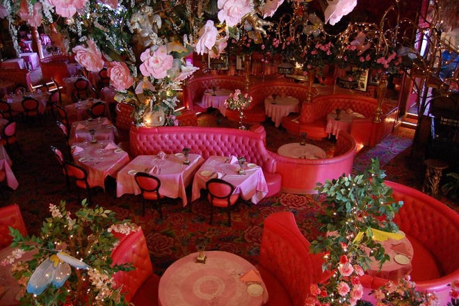 madonnainn
