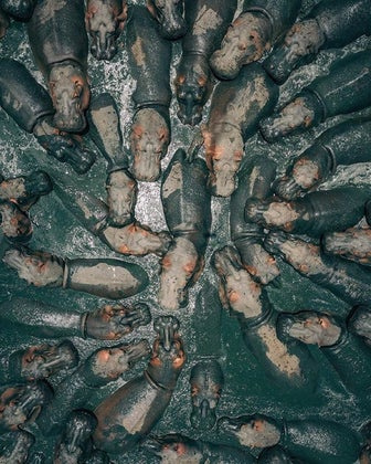 hungry hippos
