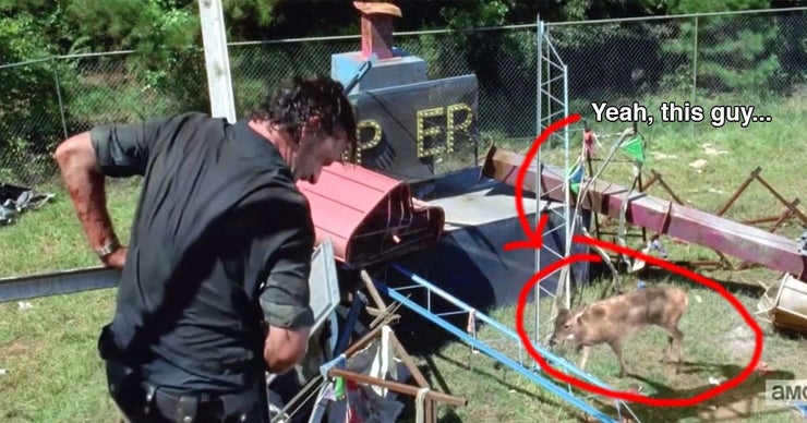 walking dead