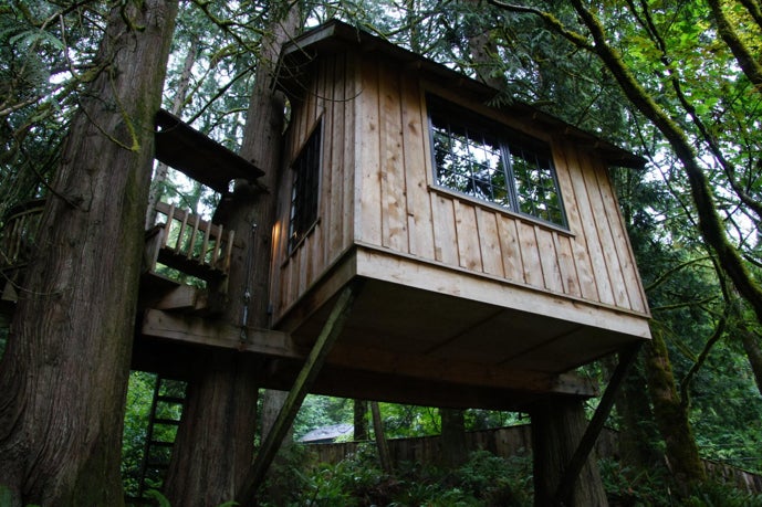 treehouse