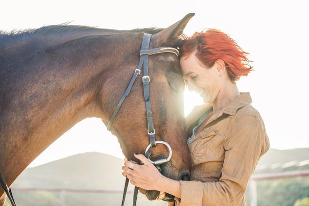animalchiropractor