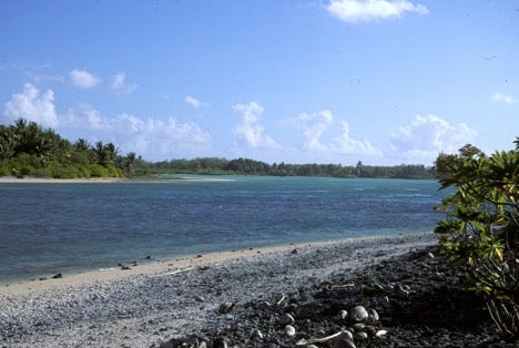 gardner island