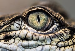 6af07a9e3be3b5ce8183e377c0efffde