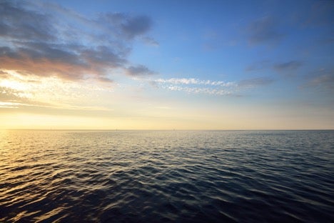 the ocean