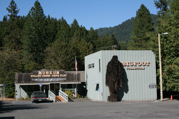 bigfootdiscoverymuseum