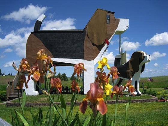 dogbark