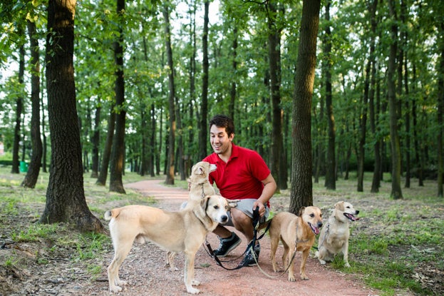dogwalker