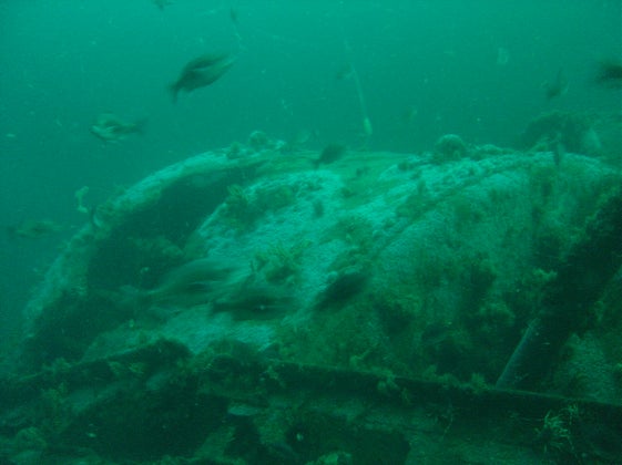 lusitania3