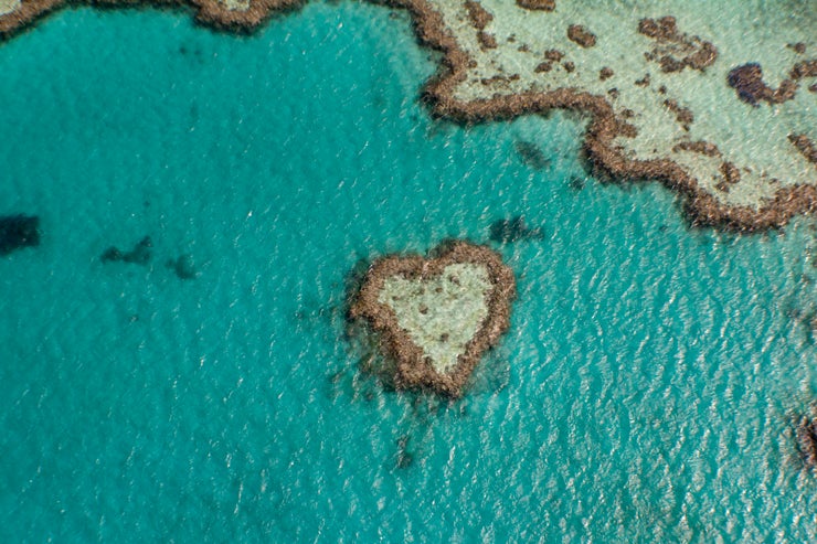 Heart Reef