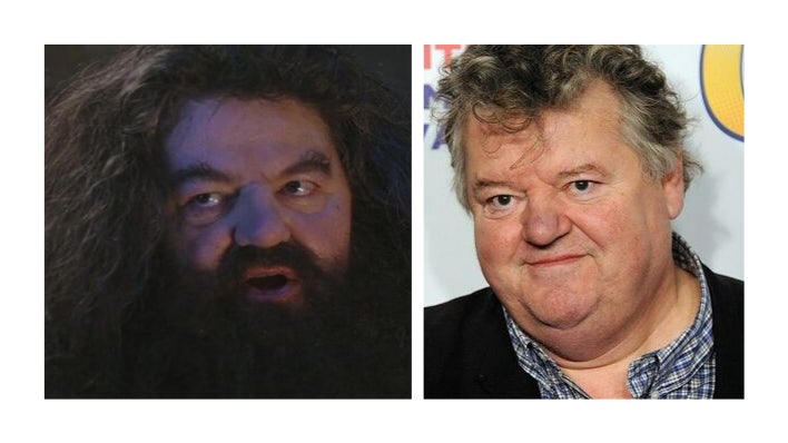 Hagrid Final