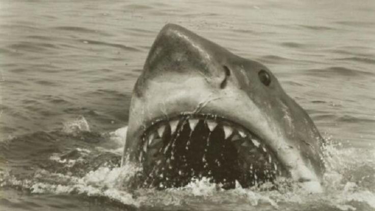 Nw7a79tiqoom50h3wlpn40dno94ihs6 Kdgmukw34uvoatad5fl3wuzhs T6jj2gac8ajp7uojpncj Mgd 9t2ylmnf9vhamwtcpcdygdrzgvuvhoysogv6fb2y40nhcojxe8nfgogtqxcouqg