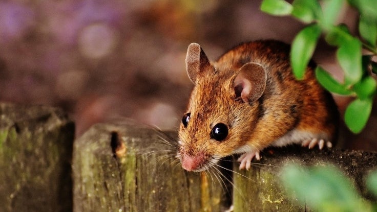 Ny8g1nzpdfnvjkerb40dks6vnjjfjvwkeqz18hz8xlimmfcjr9x Zs9p281jtnkwe6pbbkc14 Pdo 0pbp1i54uzuvutnziputrkz7bh6lnsipbjm68cwrhyjibrg81dkw0d0dehbytrj5xm8a