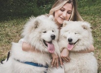 Here’s How You Can Keep Your Pets Safe During the COVID-19 Pandemic