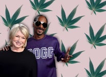 Celebrities Who Have Their Own Cannabis Brands