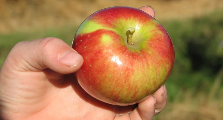 Download What Are Examples Of Gravitational Force Reference Com For iPhone Free Get Wallpaper What Are Examples Of Gravitational Force Reference Com For Android Free