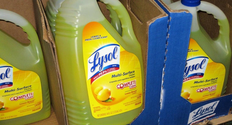 Lysol Kill Ringworm