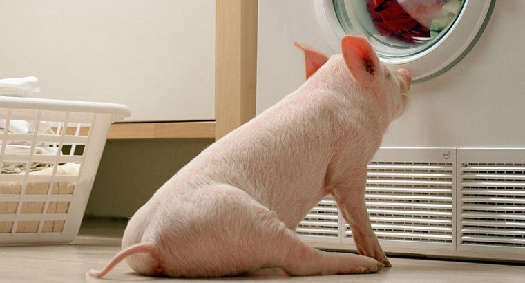 How Do You Replace a Washing Machine Filter? | Reference.com